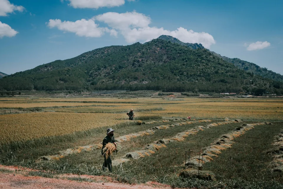 Kho gạo của Nguyễn Văn Sĩ